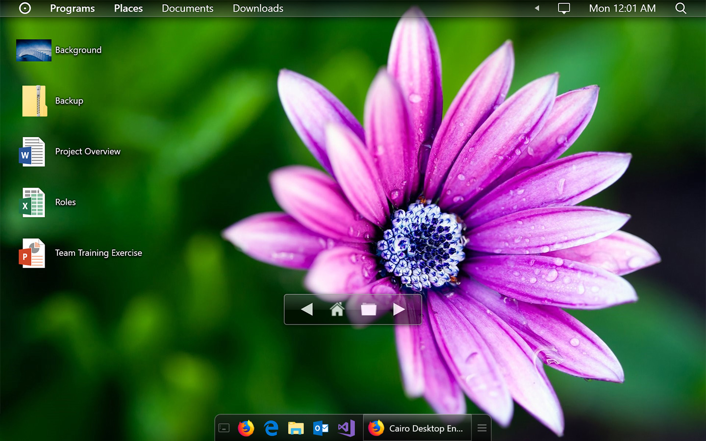Cairo Desktop screenshot